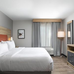 Premium Suite